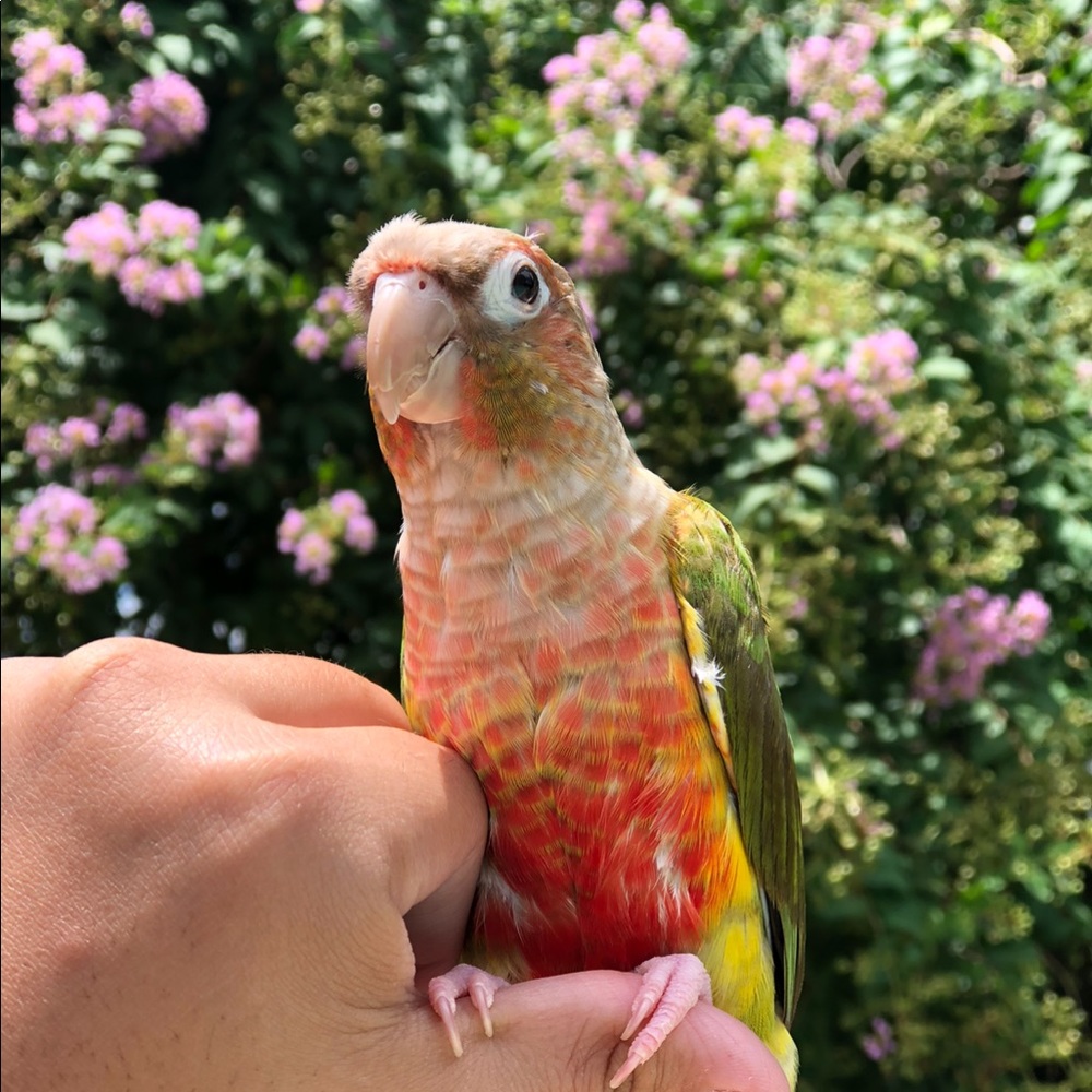 ⭐️10% off any 3 or more bundled items ⭐️